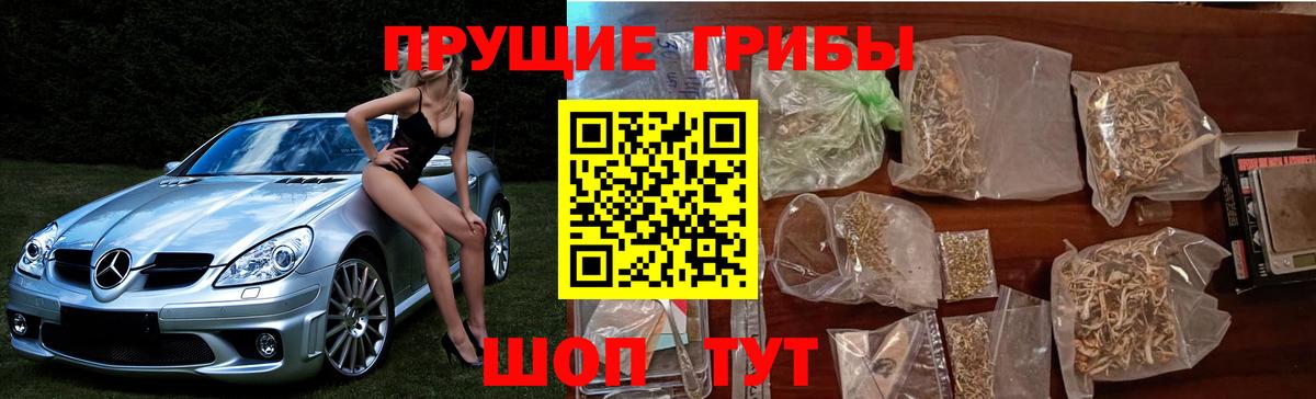 Псилоцибиновые грибы мухоморы Верхний Уфалей